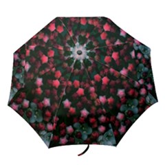 Floral Stars -bright Folding Umbrellas by okhismakingart