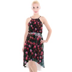 Floral Stars -bright High-low Halter Chiffon Dress  by okhismakingart