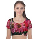 Three Dripping Flowers Velvet Short Sleeve Crop Top  View1