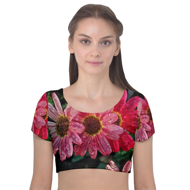 Three Dripping Flowers Velvet Short Sleeve Crop Top 