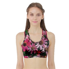 Pink Asters Sports Bra With Border by okhismakingart