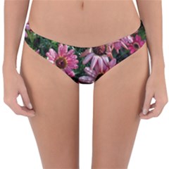 Pink Asters Reversible Hipster Bikini Bottoms by okhismakingart