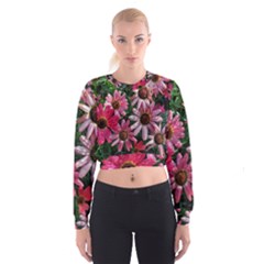 Pink Asters Cropped Sweatshirt by okhismakingart