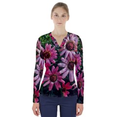 Pink Asters V-neck Long Sleeve Top by okhismakingart