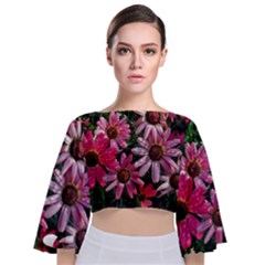 Pink Asters Tie Back Butterfly Sleeve Chiffon Top by okhismakingart