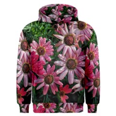 Pink Asters Men s Overhead Hoodie by okhismakingart