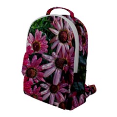 Pink Asters Flap Pocket Backpack (large) by okhismakingart