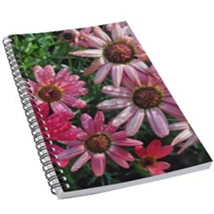 Pink Asters 5 5  X 8 5  Notebook by okhismakingart