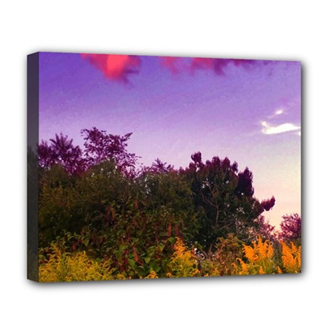 Purple Afternoon Deluxe Canvas 20  X 16  (stretched) by okhismakingart