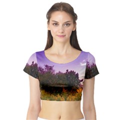 Purple Afternoon Short Sleeve Crop Top by okhismakingart