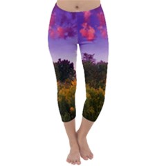 Purple Afternoon Capri Winter Leggings  by okhismakingart