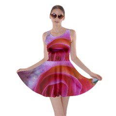 Spiral Rose Skater Dress by okhismakingart