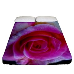 Spiral Rose Fitted Sheet (queen Size)