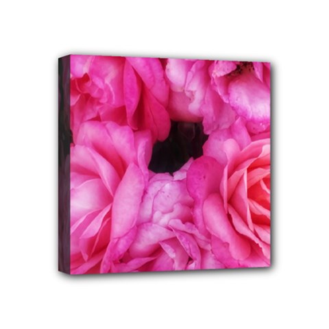 Pink Roses Mini Canvas 4  X 4  (stretched) by okhismakingart