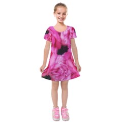 Pink Roses Kids  Short Sleeve Velvet Dress