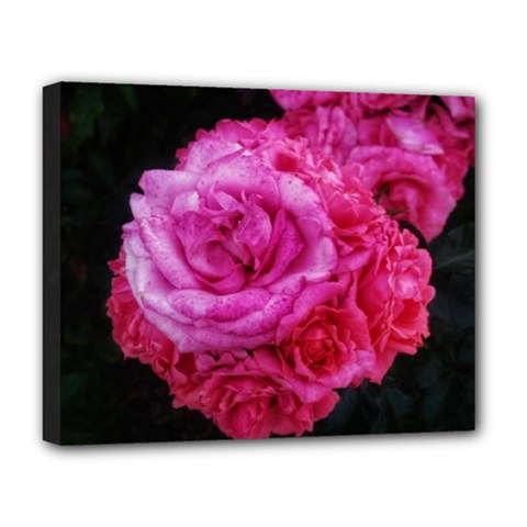 Bunches Of Roses (close Up) Deluxe Canvas 20  X 16  (stretched) by okhismakingart