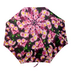 Pink Flower Bushes Folding Umbrellas by okhismakingart