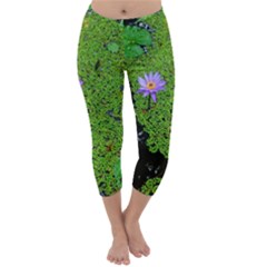 Lily Pond Capri Winter Leggings 