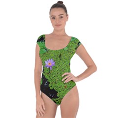 Lily Pond Short Sleeve Leotard  by okhismakingart