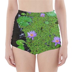 Lily Pond High-waisted Bikini Bottoms by okhismakingart