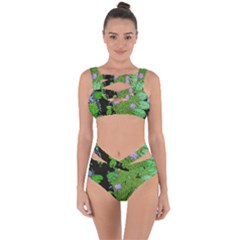 Lily Pond Bandaged Up Bikini Set  by okhismakingart