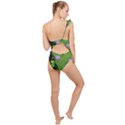 Lily Pond Frilly One Shoulder Swimsuit View2