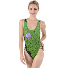 Lily Pond High Leg Strappy Swimsuit by okhismakingart