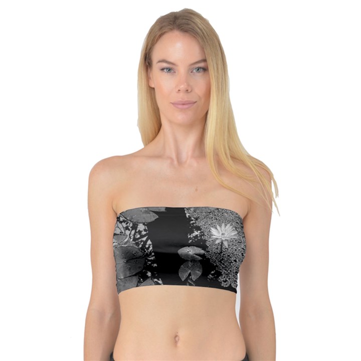 Black and White Lily Pond Bandeau Top