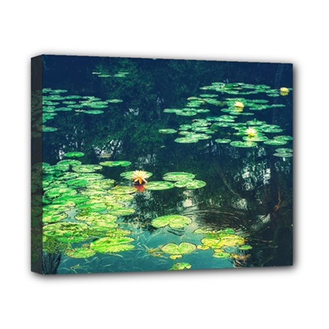 Lily Pond Ii Canvas 10  X 8  (stretched) by okhismakingart