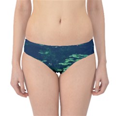 Lily Pond Ii Hipster Bikini Bottoms by okhismakingart