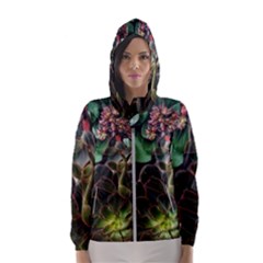 Succulents Women s Hooded Windbreaker by okhismakingart