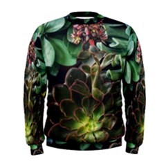 Succulents Men s Sweatshirt