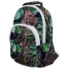 Succulents Rounded Multi Pocket Backpack by okhismakingart