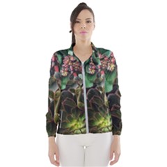 Succulents Women s Windbreaker by okhismakingart