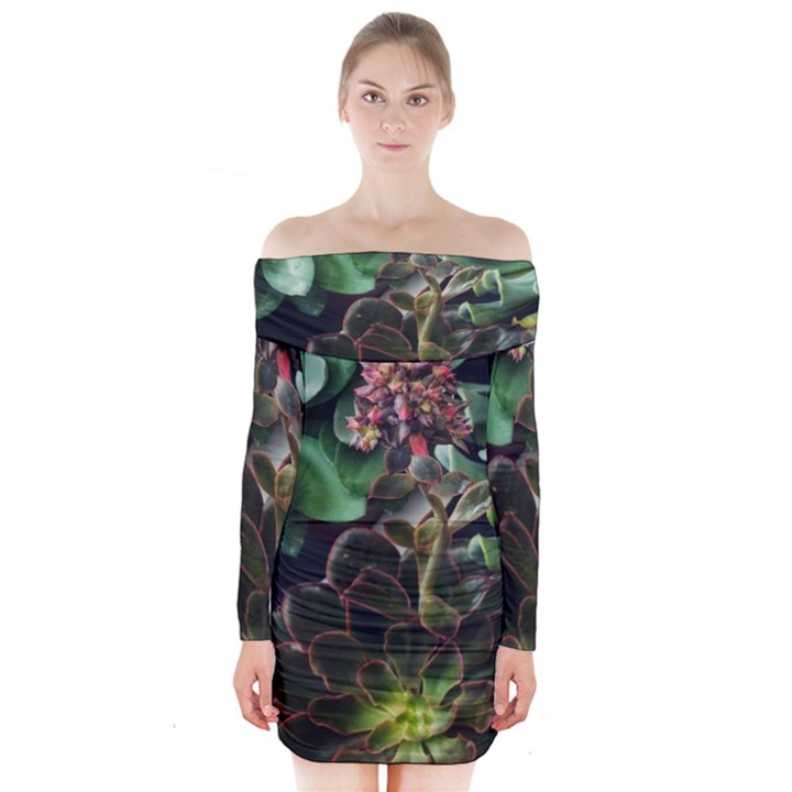 Succulents Long Sleeve Off Shoulder Dress