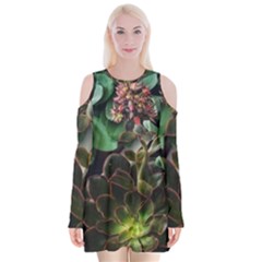 Succulents Velvet Long Sleeve Shoulder Cutout Dress by okhismakingart