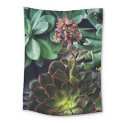 Succulents Medium Tapestry by okhismakingart