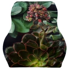 Succulents Car Seat Velour Cushion 