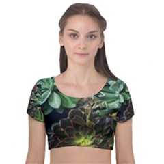 Succulents Velvet Short Sleeve Crop Top  by okhismakingart