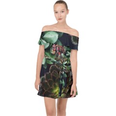 Succulents Off Shoulder Chiffon Dress by okhismakingart