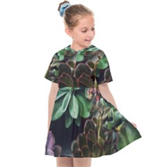 Succulents Kids  Sailor Dress by okhismakingart