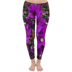 Bougainvillea  Classic Winter Leggings