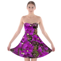 Bougainvillea  Strapless Bra Top Dress by okhismakingart