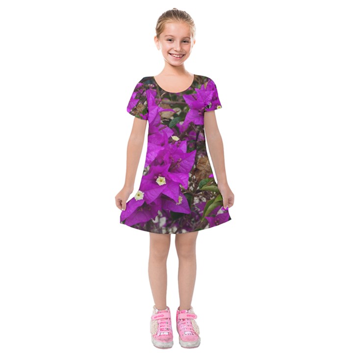 Bougainvillea  Kids  Short Sleeve Velvet Dress