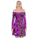 Bougainvillea  Off Shoulder Skater Dress View1