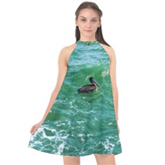 Waterbird  Halter Neckline Chiffon Dress  by okhismakingart