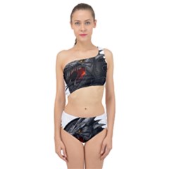 Dragon City Spliced Up Two Piece Swimsuit by Sudhe