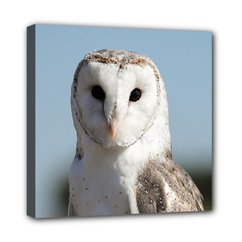 Owl Portrait Mini Canvas 8  X 8  (stretched) by Cbth