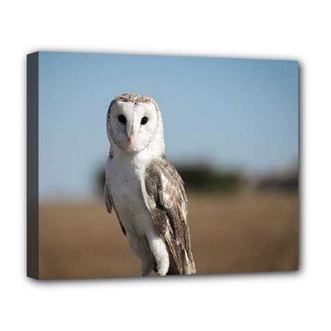 Owl Portrait Deluxe Canvas 20  X 16  (stretched) by Cbth