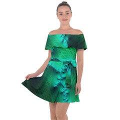 Fractal Maths Design Backdrop Off Shoulder Velour Dress by Pakrebo